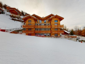 Spacious apartment in Veysonnaz